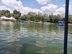 -莲湖公园