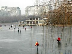 -紫竹院公园冰场