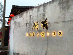 -几荷·恰似故人来(秀水广场店)