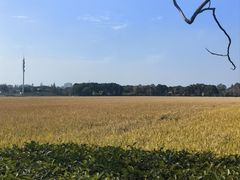 -嘉北郊野公园