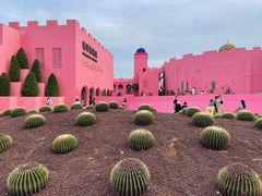 -漳州滨海火山岛自然生态风景区