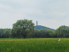 -北坞公园