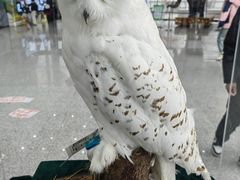 -吉林省自然博物馆