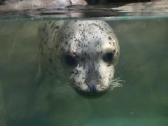 -嘉兴海底世界