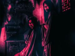 -Mr.Fox狐狸先生超级密室(南山店)