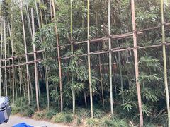 -外滩悦榕庄·海怡西餐厅