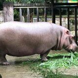 -重庆动物园·东二门售票处