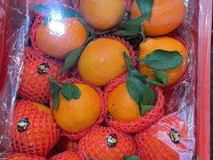 -江杨农产品批发市场