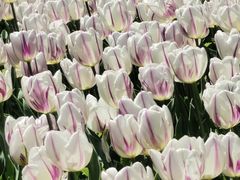 -玄武湖景区-情侣园游乐场