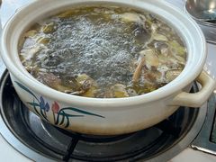-蘑统田下·野生菌火锅