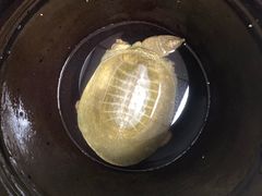 -兄弟宁乡龙城(麓景路店)