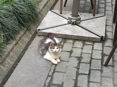 -老外街