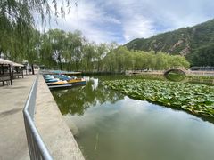 -钰田大院·怀柔地道农家菜·烤虹鳟鱼(雁栖湖店)