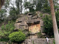 -三水森林公园