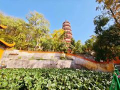 -宝通禅寺
