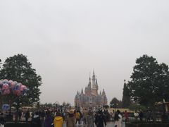 -迪士尼乐园停车场