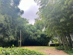 -苏州河梦清园环保主题公园