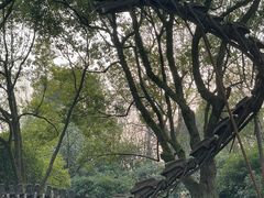 -杭州少年儿童公园