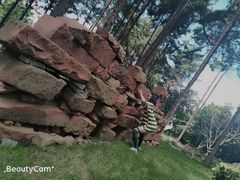 -南诏风情岛