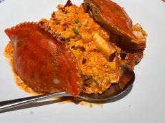 -连鹭海鲜·海肠捞饭·欢聚宴请(星海店)