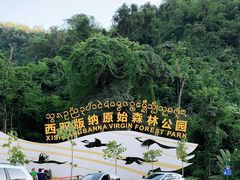 -西双版纳原始森林公园