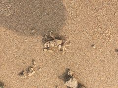 -月坨岛华清月府温泉酒店