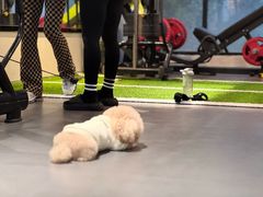 -FEELINGME乐刻私教馆·健身(沿海赛洛城店)