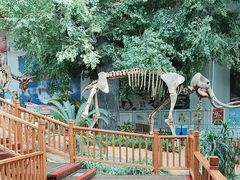 -中国第四纪冰川遗迹陈列馆