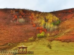 -塞罕坝国家级自然保护区