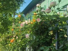 -杭州观成实验学校