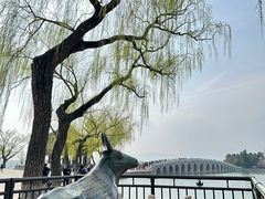 -颐和园