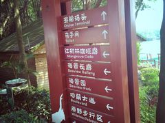 -大湾区中央湿地公园