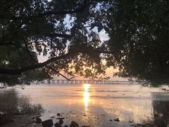 -宝安西湾红树林湿地公园