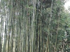 -井冈山风景名胜区
