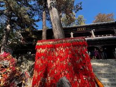 -潭柘寺景区