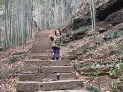 -严子陵钓台(富春江小三峡)