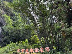 -英西峰林九重天景区