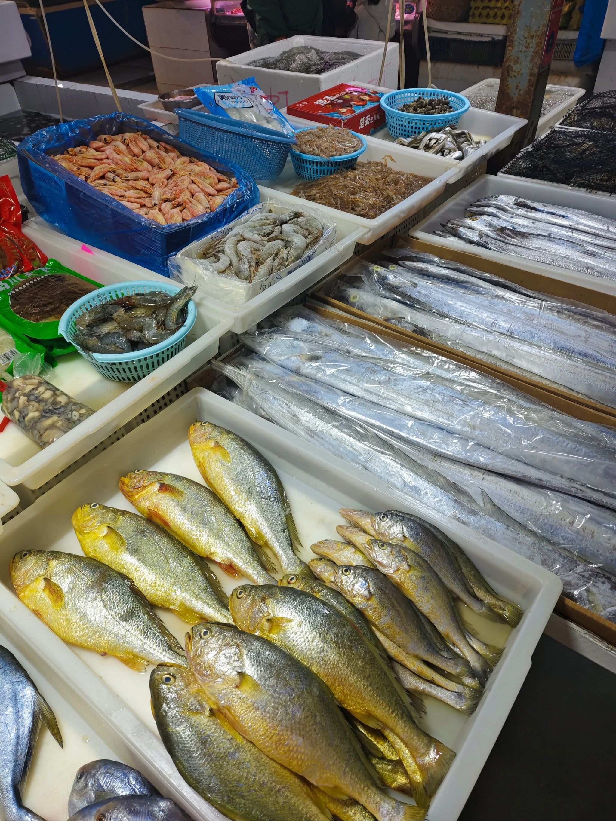 n西安哪里的海鲜又新鲜又好吃😋
#市场海鲜#买菜#水产市场#生鲜