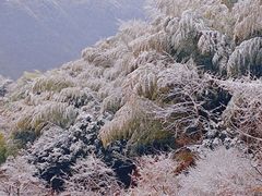 -四明山国家森林公园