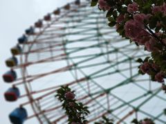 -南昌之星摩天轮