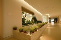 -北京和美妇儿医院