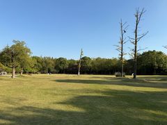 -长广溪湿地公园