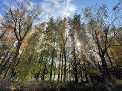 -上海海湾国家森林公园