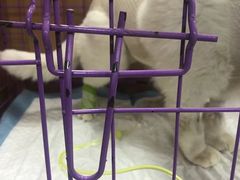 -联合动物医院(光谷诊疗中心)