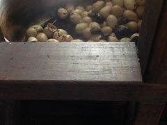 -金盆阿嬷香菇茶叶蛋(玄光店)