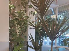 -大可泥炉烤肉(中街店)