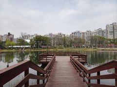 -新江湾城公园