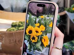 -循礼门鲜花花市(武汉循礼门店)