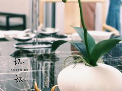 -秦宝雪花牛肉养生火锅(大兴九臻店)