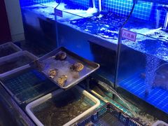 水产区-捞围鲜·港式打边炉(海阳路店)